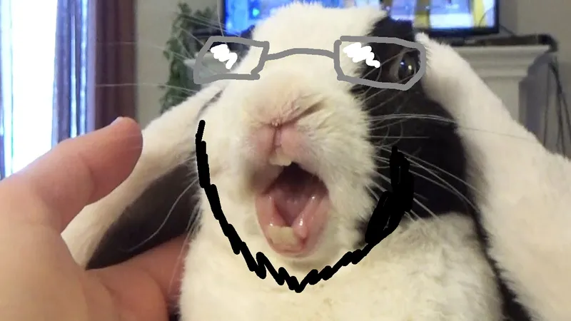 File:Rabbit soy.png