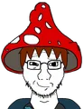 Thumbnail for version as of 20:52, 21 May 2025