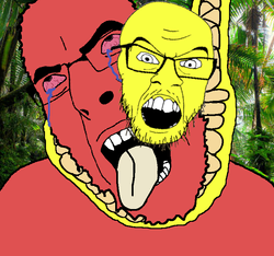 red cobson monkey -ACKING because of yellow snake feraljak