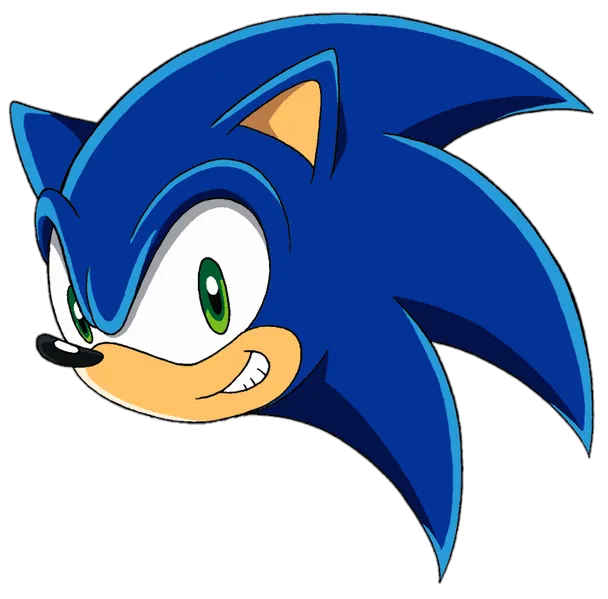 File:Sonichead.png