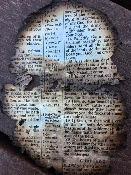 File:Burntbiblepage.jpg