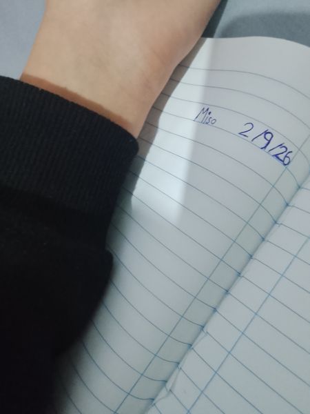 File:Miso hand.jpg