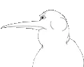 Thumbnail for version as of 23:00, 13 October 2026