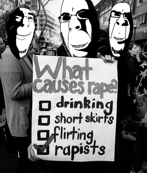 File:What causes rape.png
