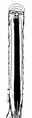 Thumbnail for version as of 04:42, 4 April 2021