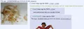 Thumbnail for version as of 11:06, 19 April 2021