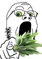 Thumbnail for version as of 13:26, 11 June 2021