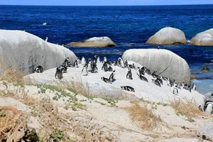 -qa- sticky image.jpg