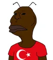Turkish edition