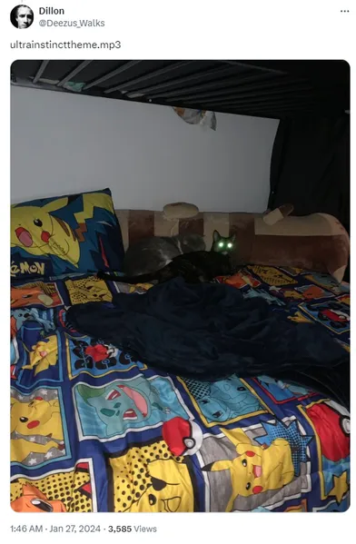 File:Illybfbed.png