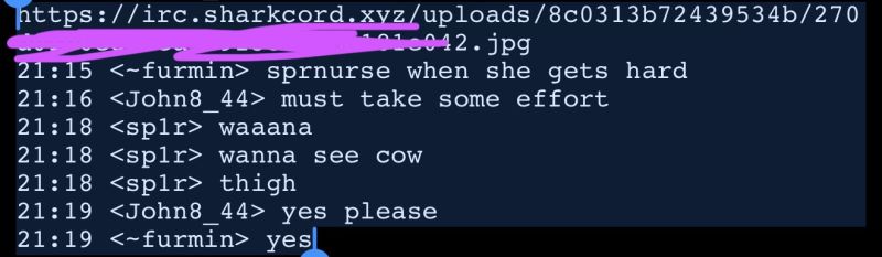 File:Sharkcord5.jpeg