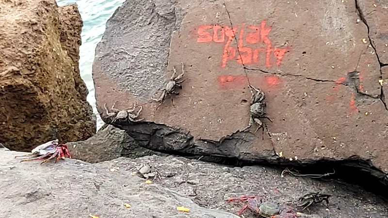 File:1783795114745l.jpg
