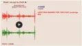 Thumbnail for version as of 06:01, 18 February 2023