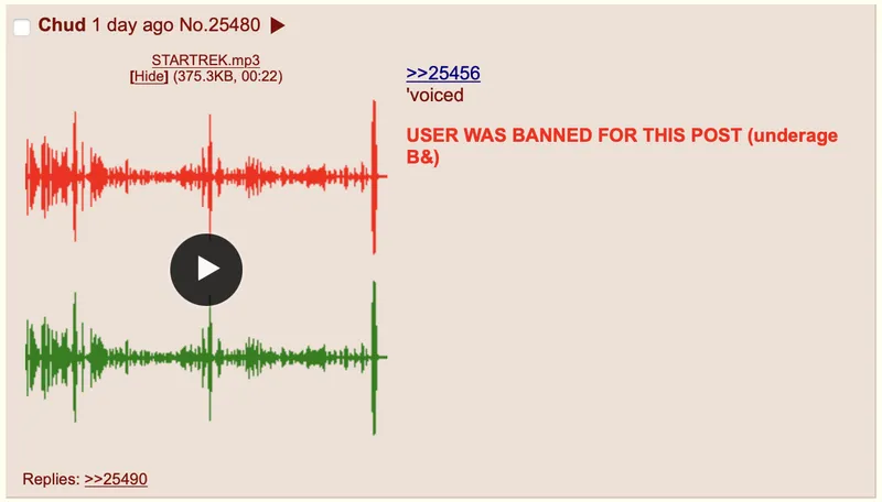 File:MicKidSplinterBan.png