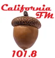 Thumbnail for version as of 13:00, 6 March 2024