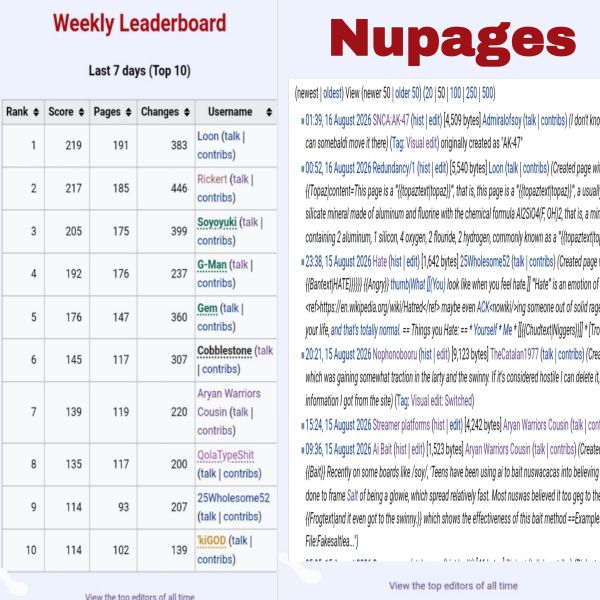 File:Newpagessuggestion.jpg