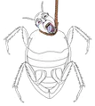 Thumbnail for version as of 22:46, 5 September 2025
