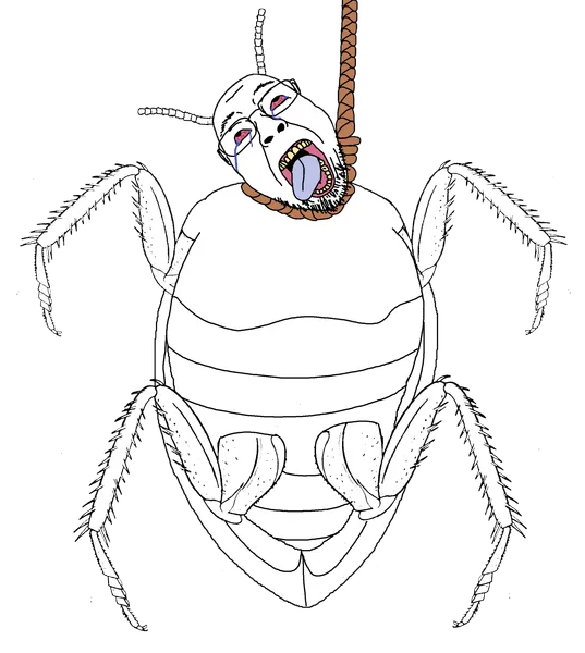 File:Cockroach jak.png
