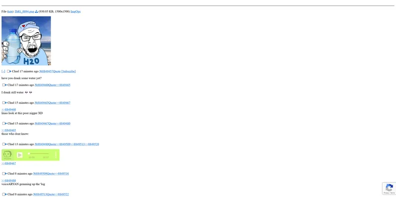 File:No CSS.png