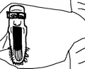 Thumbnail for version as of 18:06, 16 November 2023