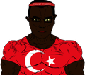 Thumbnail for version as of 03:24, 20 September 2026