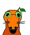 Froot