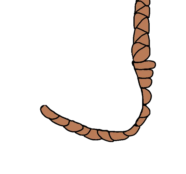 File:Rope transparent.png