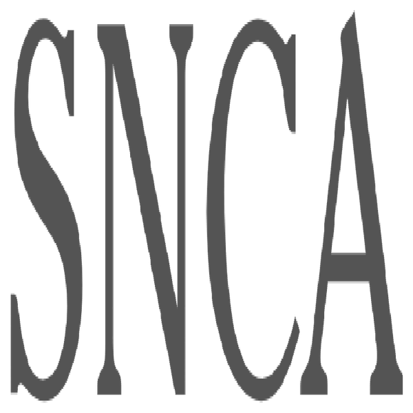 File:SNCAtexture.png