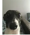 Thumbnail for version as of 05:23, 25 January 2023