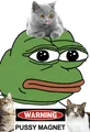 Pussy magnet