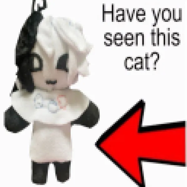 File:Have you seen this cat?.jpeg