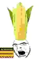 Compressed cornson