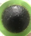 Thumbnail for version as of 01:53, 24 October 2023