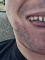 Thumbnail for version as of 01:16, 17 August 2026