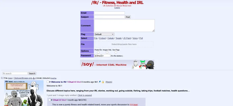 File:Fitboard.png