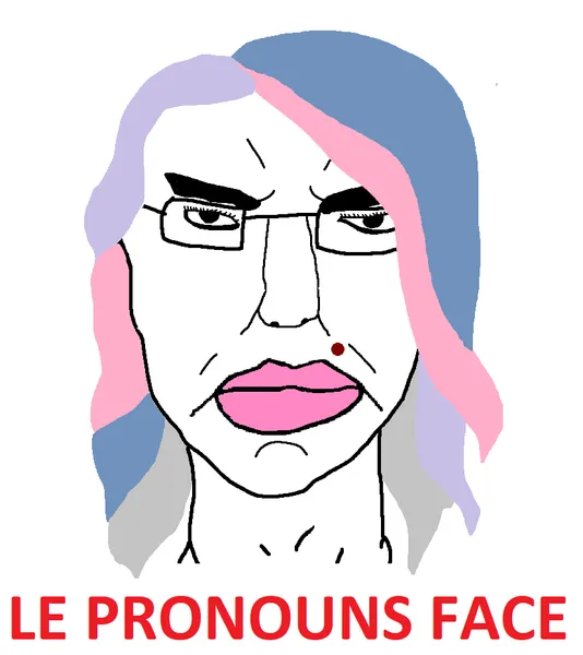 File:Le Pronouns Face.png