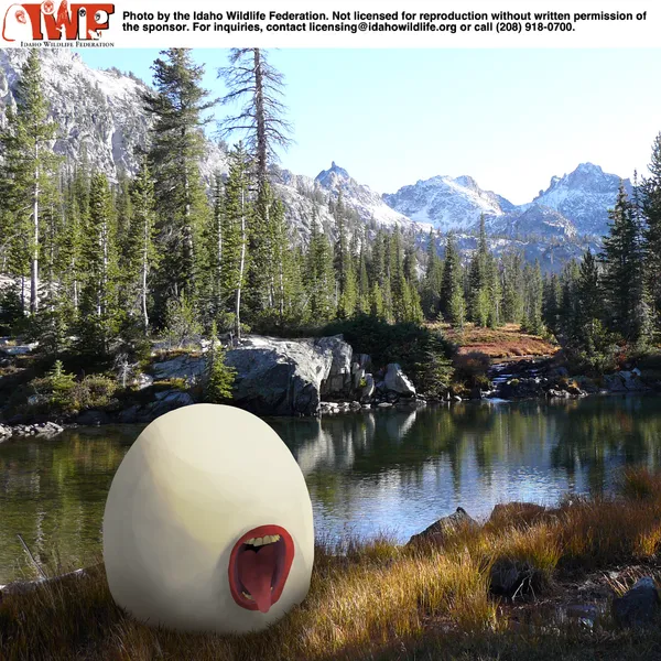 File:Tongueboys in nature.png