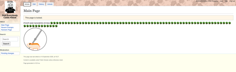 File:Mist wiki.png
