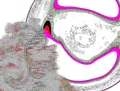 Thumbnail for version as of 20:58, 11 September 2023