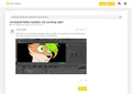 The account requesting assistance in drawing furry porn.
