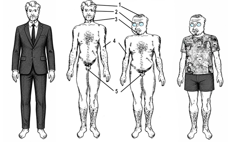 File:Weebgroid anatomy.png