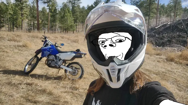 File:Meirl.png