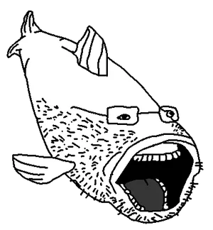 Soyfish template.png