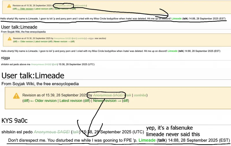 File:Anonymous SAGE limeade falseflag.png