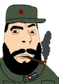 Fidel Castro was the revolutionary leader of Cuba.