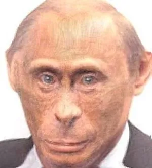 Monkey putin.jpg