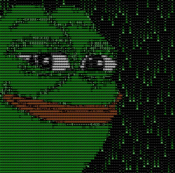 File:Pepe code.gif