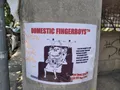 Domestic Fingerboys