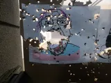 Same gun, bottom-left corner.