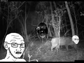 Glibblezorpson spotted in the wild by a unlucky camper.